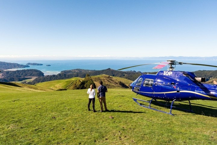a group of people standing on a lush green field