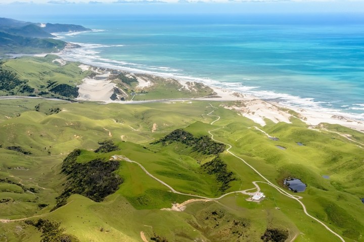 a herd of sheep grazing on a lush green hillside